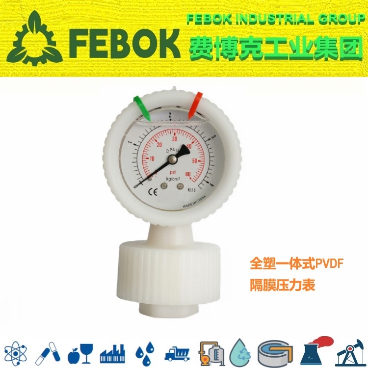 进口塑料一体式PVDF隔膜压力表.jpg